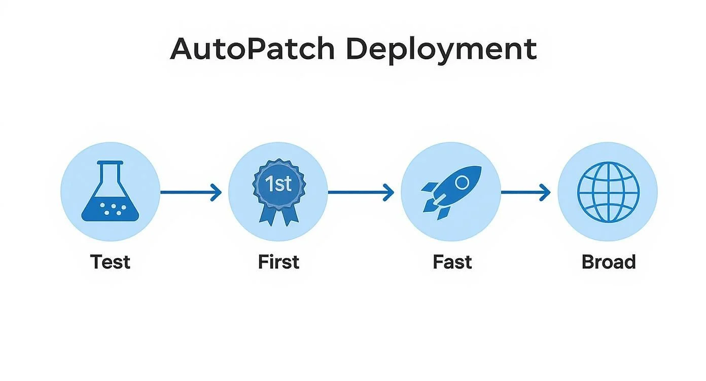 A flowchart for AutoPatch Deployment with four steps: Test (flask icon), First (blue rosette), Fast (rocket), and Broad (globe), each in blue circles with arrows between them.